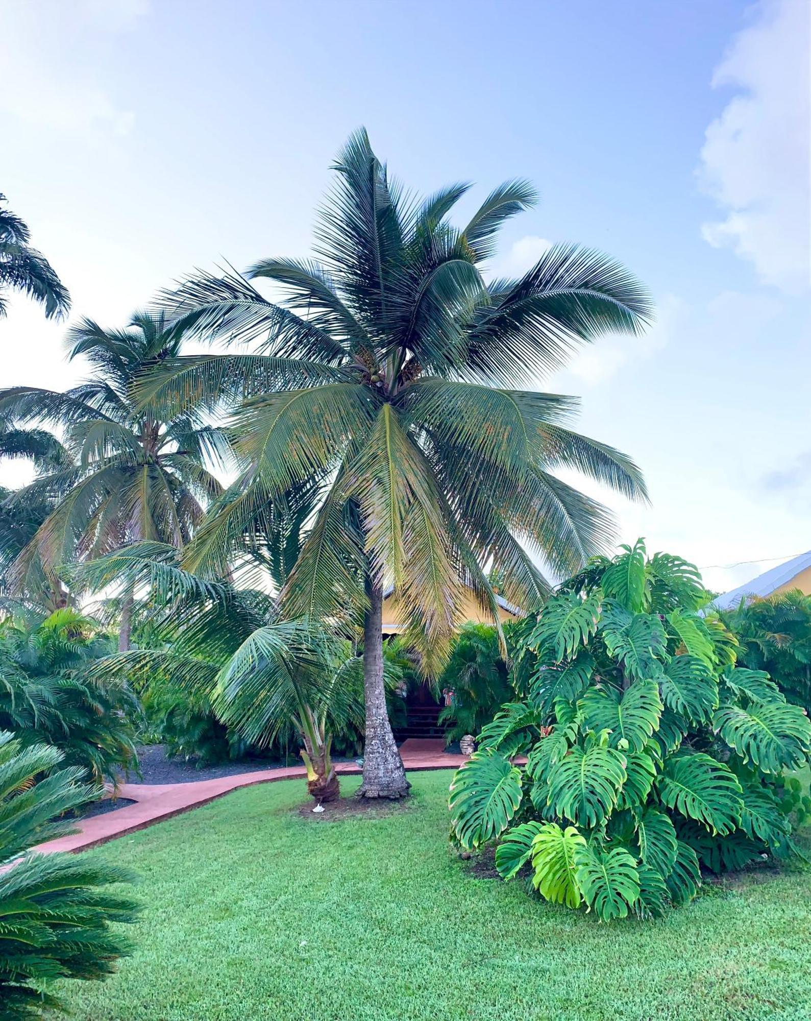 Domaine Saint-Francois Hotel ภายนอก รูปภาพ